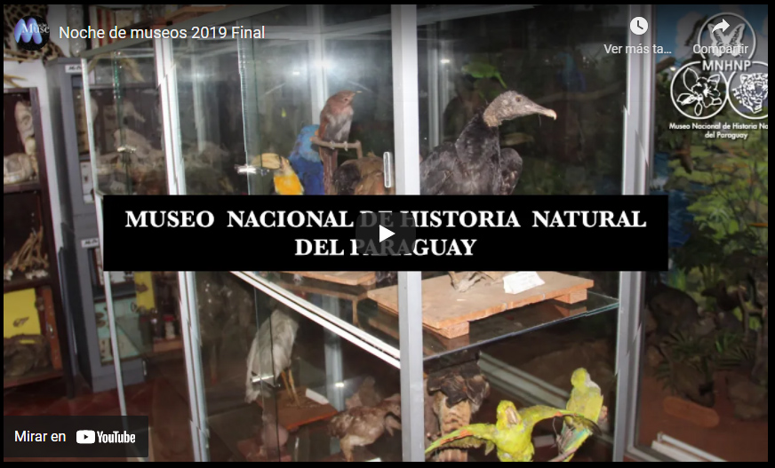 Vídeo de presentación de La Noche de los Museos 2019- Paraguay